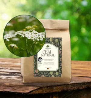 Ceai de Coada șoricelului - herba concis