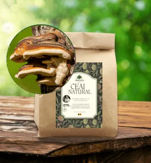 Ceai de Ganoderma / Reishi - mărunțit