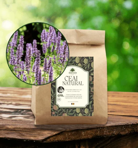 Ceai de Isop - mărunțit (herba concis) — preț și oferte