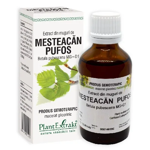 Extract Muguri Mesteacan Pufos 50ml Plantextract — preț și oferte