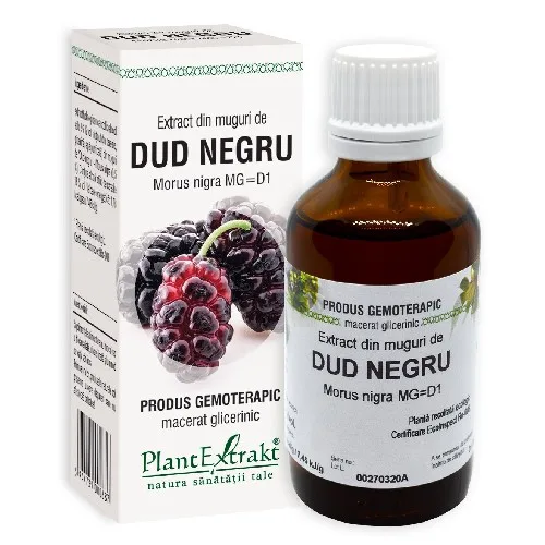 Extract Mug Dud Negru, 50ml, Plantextrakt — preț și oferte