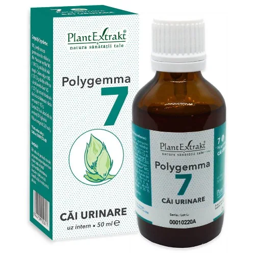 Polygemma 7 -Cai Urinare- 50ml Plantextrakt — preț și oferte
