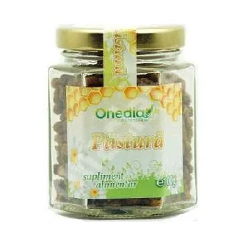 Pastura 100gr Onedia — preț și oferte