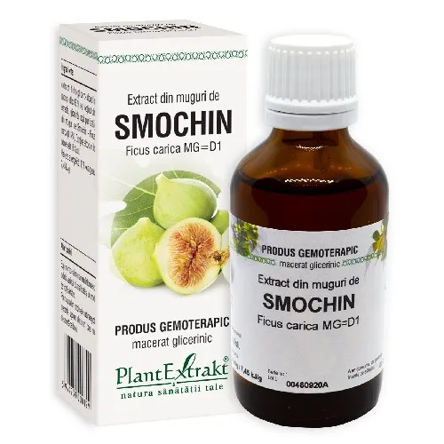 Extract din Muguri de Smochin 50ml Plantextrakt — preț și oferte