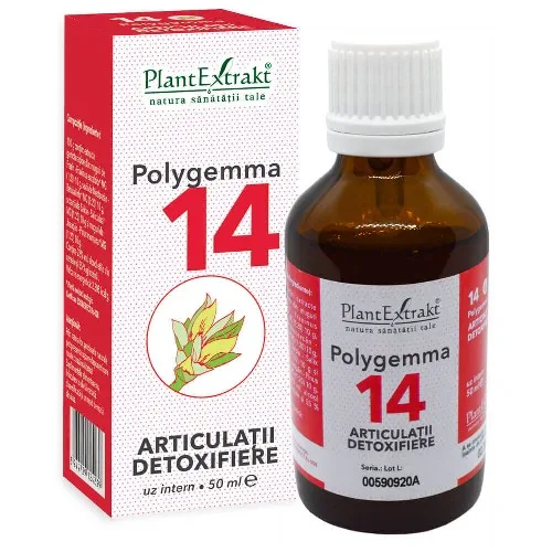 Polygemma 14 -Articulatii Detoxifiere- 50ml Plantextrakt — preț și oferte