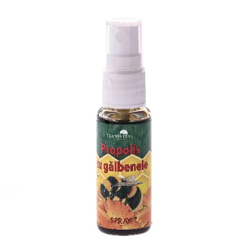 Spray Propolis cu Galbenele 25ml Transvital — preț și oferte