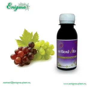 Antioxivita 100ml Phenalex
