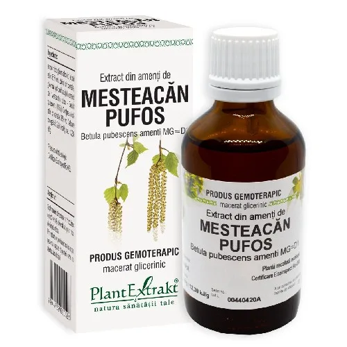 Extract Amenti de Mesteacan Pufos 50ml Plantextrakt — preț și oferte