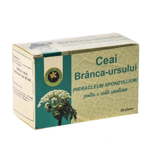 Ceai Branca Ursului 20dz Hypericum — preț și oferte