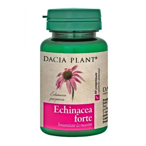 Echinacea Forte 60cps Dacia Plant — preț și oferte