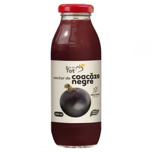 SGR-Nectar de Coacaz Negru 300ml Dacia Plant — preț și oferte