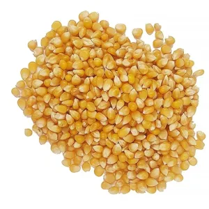 Porumb Popcorn 1kg, Driedfruits