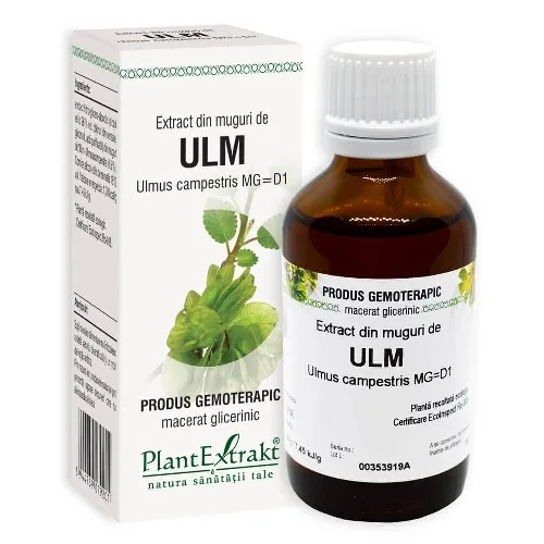 Extract din Muguri de Ulm Plantextrakt — preț și oferte