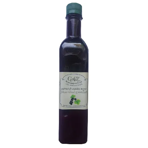 Extract de Coacaze Negre 500ml Gall — preț și oferte