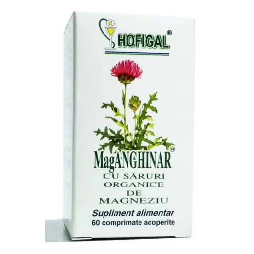 Maganghinar cu Saruri demg 60cpr Hofigal — preț și oferte