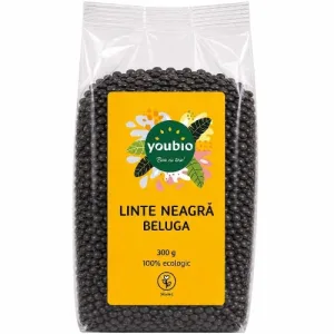 Linte neagra Beluga, organic, 300g, Youbio
