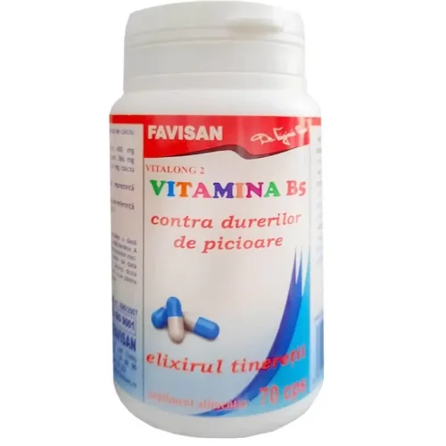 Vitamina B5 70cps Favisan — preț și oferte