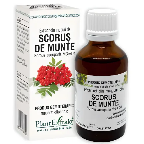 Extract Din Muguri De Scorus de Munte 50ml  Plantextrakt — preț și oferte