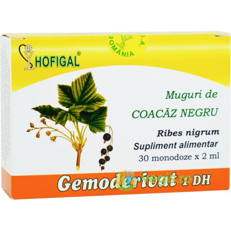 Muguri de Coacaz Negru 30monodz HOFIGAL — preț și oferte