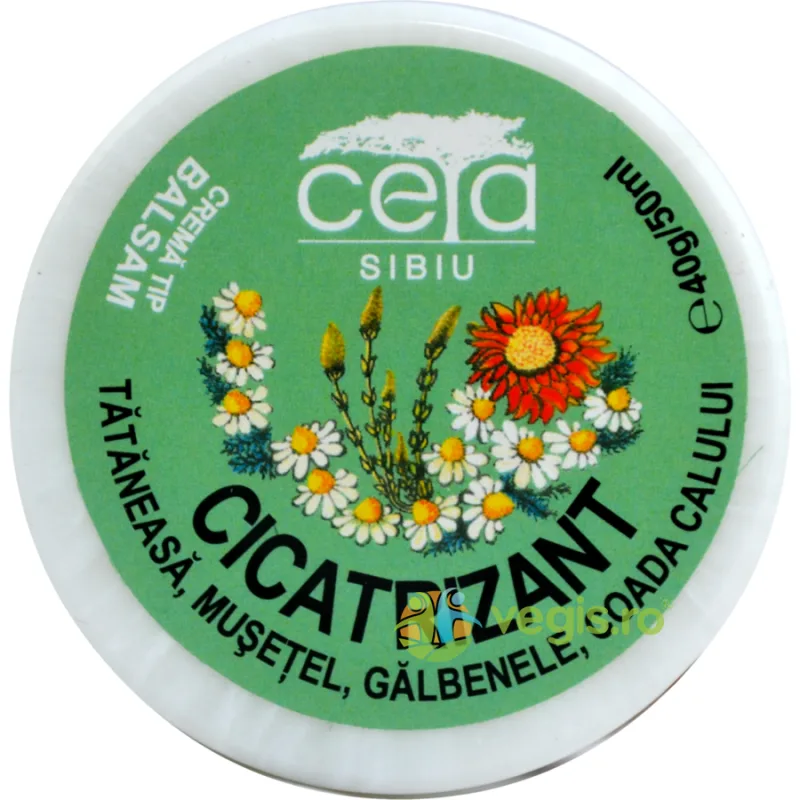 Unguent Cicatrizant 40g Ceta Sibiu — preț și oferte
