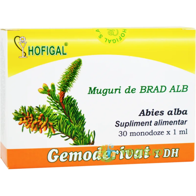 Muguri de Brad Alb 30monodz HOFIGAL — preț și oferte