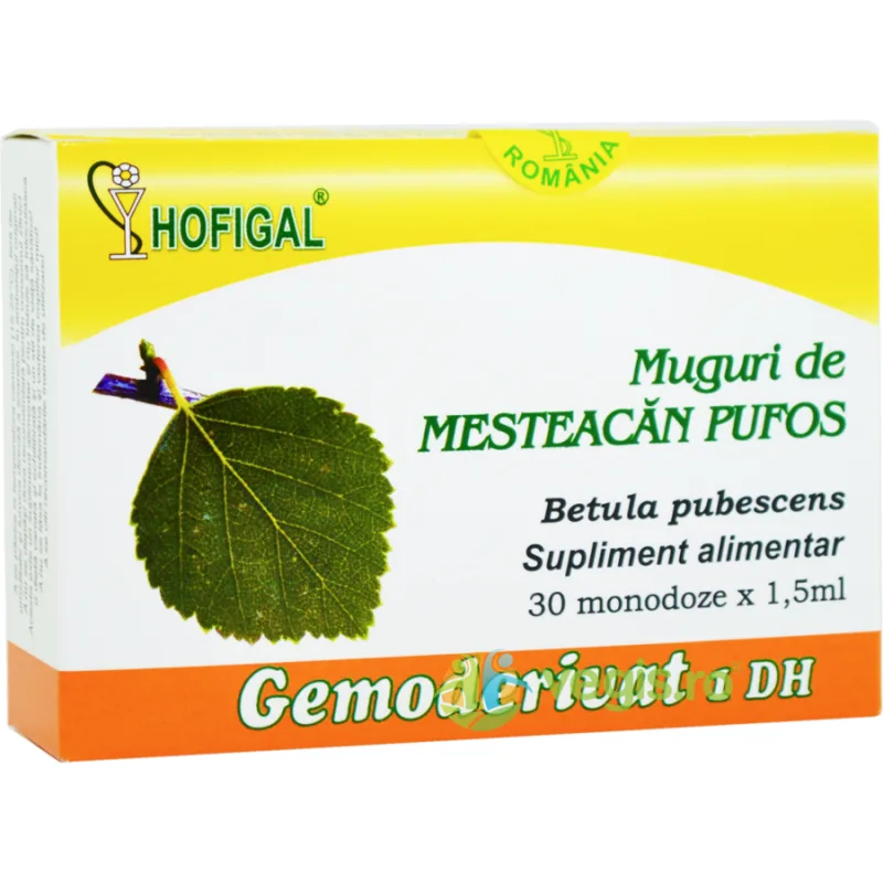 Muguri de Mesteacan Pufos 30monodz HOFIGAL — preț și oferte