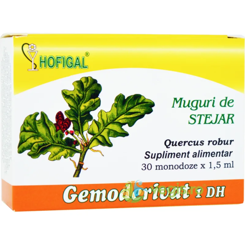 Muguri de Stejar 30monodz HOFIGAL — preț și oferte