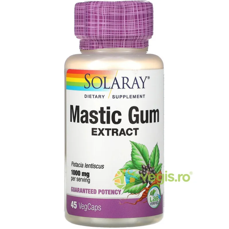 MASTIC GUM 45cps Secom, Solaray — preț și oferte