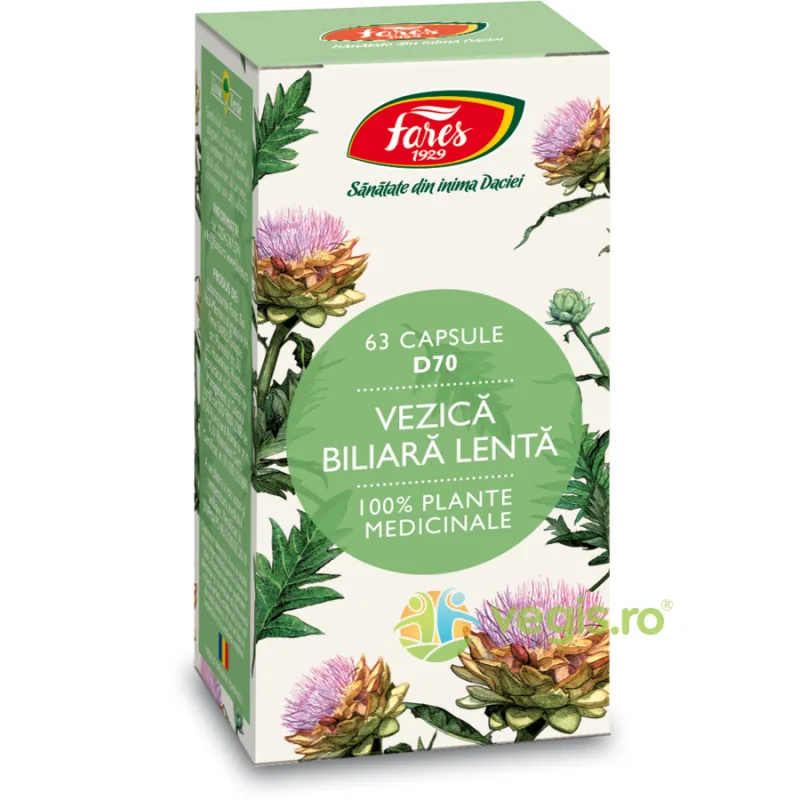 Vezica Biliara Lenta (D70) 63cps FARES — preț și oferte