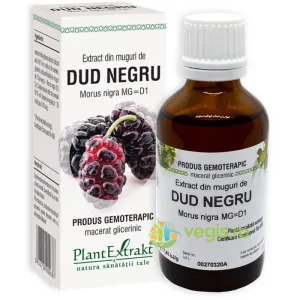 Extract din Muguri de Dud Negru 50ml