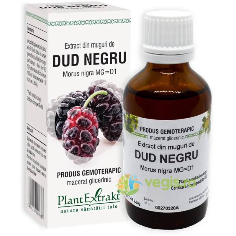 Extract din Muguri de Dud Negru 50ml PLANTEXTRAKT — preț și oferte