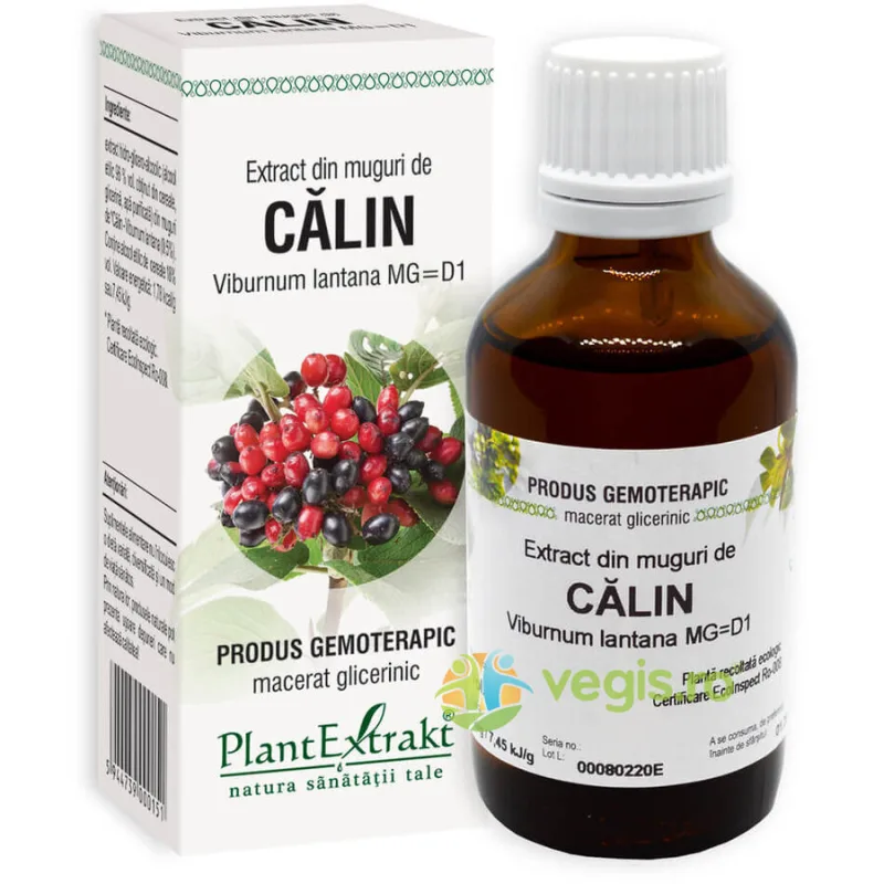 Extract din Muguri de Calin 50ml PLANTEXTRAKT — preț și oferte