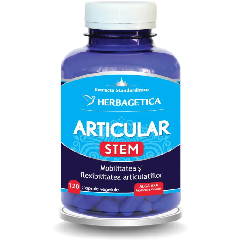 Articular Stem 120cps HERBAGETICA — preț și oferte