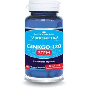 Ginkgo 120 Stem 60cps