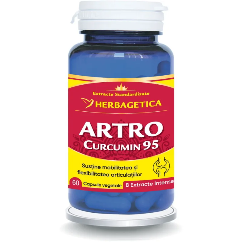 Artro Curcumin 95 60cps HERBAGETICA — preț și oferte