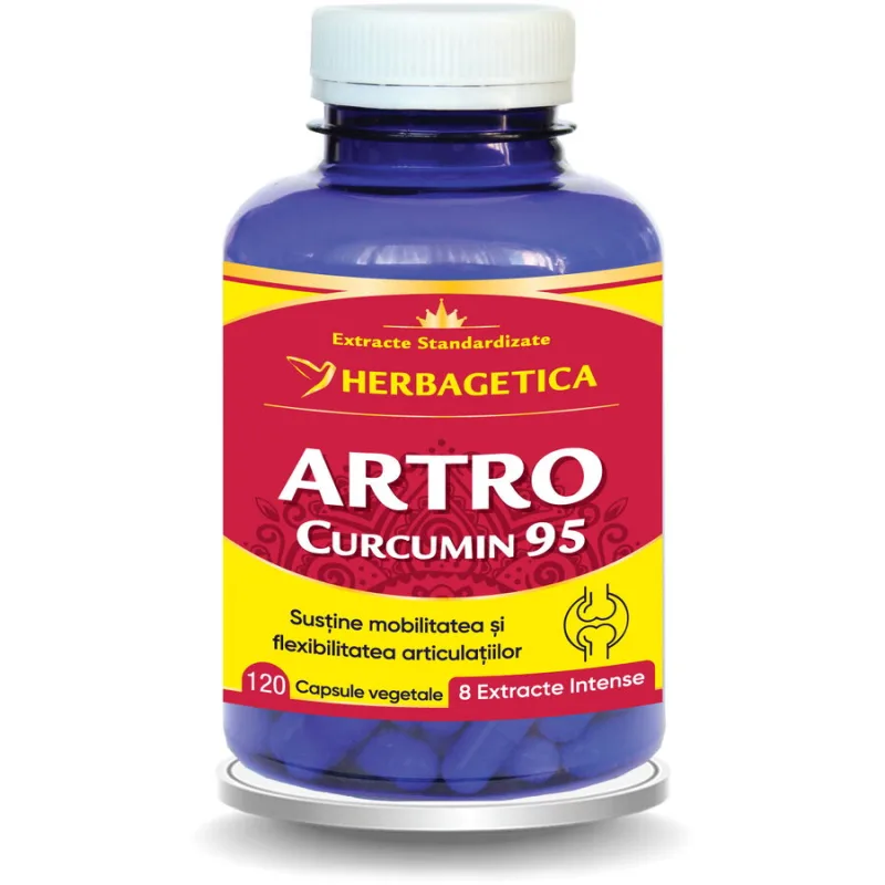 Artro Curcumin 95 120cps HERBAGETICA — preț și oferte