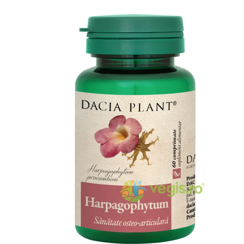 Harpagophytum (Gheara Diavolului) 60Cpr DACIA PLANT — preț și oferte