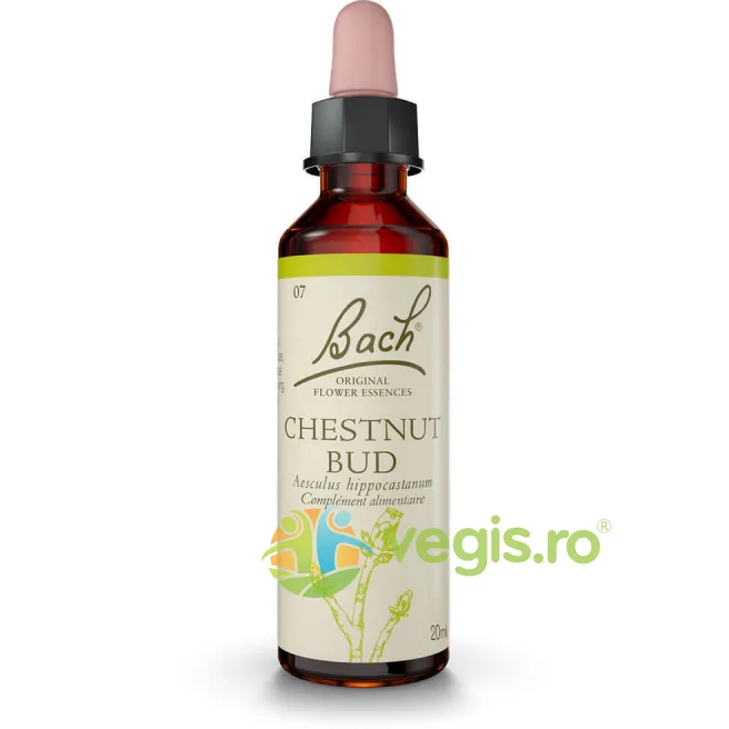 Bach 7 Chestnut Bud (Castan Salbatic) Picaturi 20ml BACH ORIGINALS FLOWER REMEDIES — preț și oferte