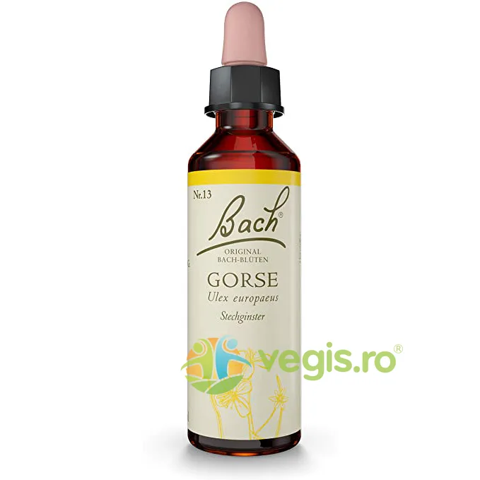 Bach 13 Gorse (Orz Salbatic) Picaturi 20ml BACH ORIGINALS FLOWER REMEDIES — preț și oferte