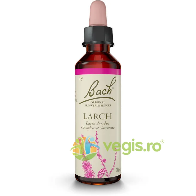 Bach 19 Larch (Larita) Picaturi 20ml BACH ORIGINALS FLOWER REMEDIES — preț și oferte