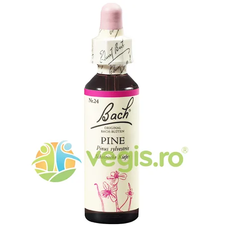 Bach 24 Pine (Pin) Picaturi 20ml BACH ORIGINALS FLOWER REMEDIES — preț și oferte