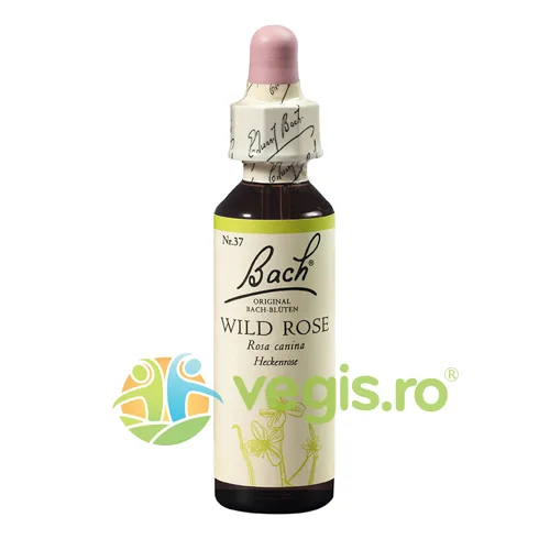 Bach 37 Wild Rose (Maces) Picaturi 20ml BACH ORIGINALS FLOWER REMEDIES — preț și oferte