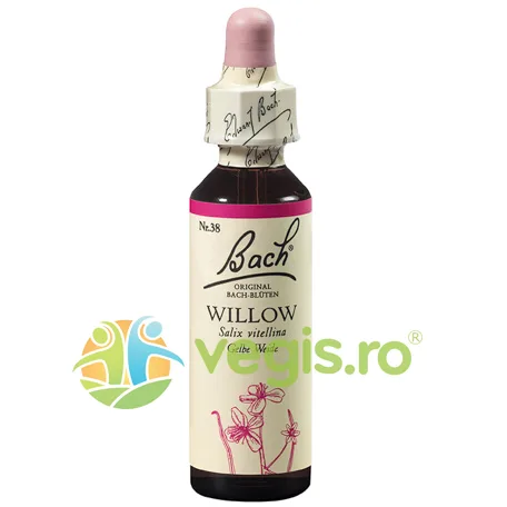Bach 38 Willow (Salcie Galbena) Picaturi 20ml BACH ORIGINALS FLOWER REMEDIES — preț și oferte