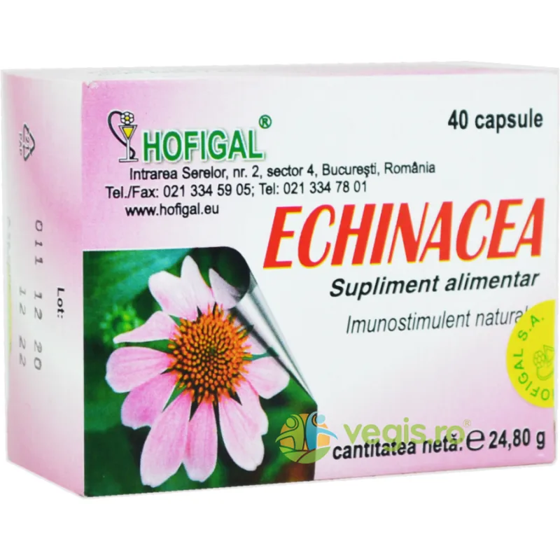 Echinacea 40cps HOFIGAL — preț și oferte