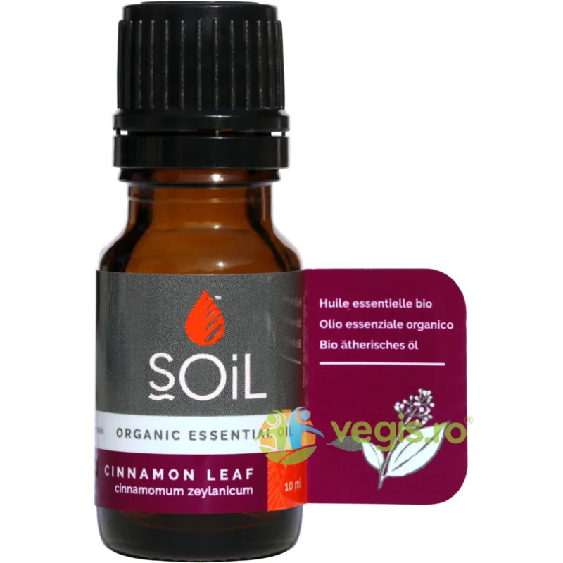 Ulei Esential de Scortisoara (Cinnamon) Ecologic/Bio 10ml SOiL — preț și oferte