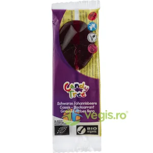 Acadea cu Coacaze Negre Fara Gluten Ecologica/Bio 13g