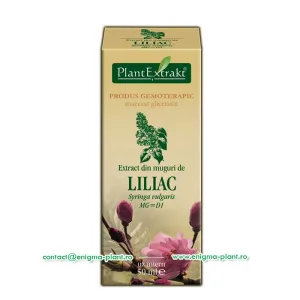 Extract din Muguri de Liliac 50ml