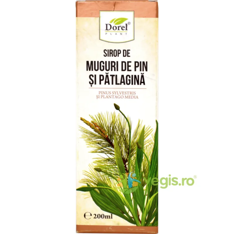 Sirop de Muguri Pin si Patlagina 200ml Dorel Plant — preț și oferte