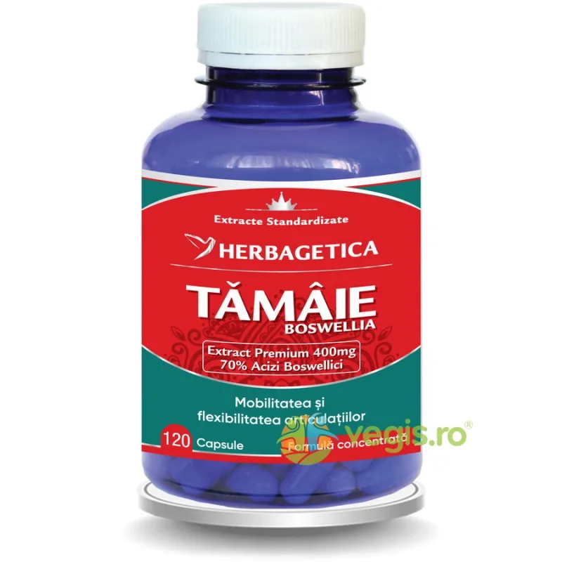 Tamaie (Boswellia Serrata) 120cps HERBAGETICA — preț și oferte