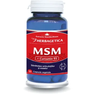MSM + Curcumin 95 30cps